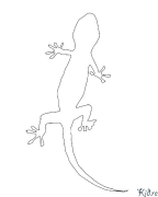 gecko Disegni Da Colorare Stampabili